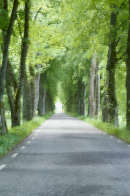 无人,竖图,室外,白天,正面,旅游,度假,草地,草坪,植物,道路,路,公路,阴影,光线,影子,交通,娱乐,草,树,树木,绿色,风景,阳光,自然,享受,休闲,景色,放松,生长,成长,风光,景物,风物,光景,景致,马路,彩图