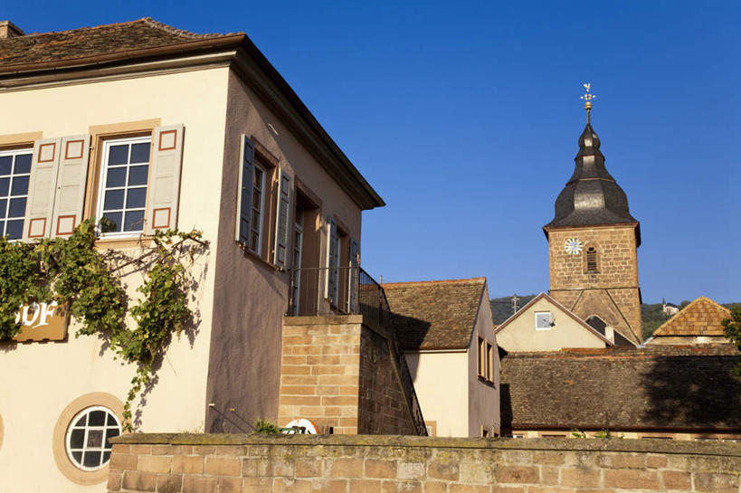 无人,教堂,横图,室外,白天,仰视,旅游,度假,植物,窗户,雕塑,阴影,节日,艺术,装饰,光线,雕刻,雕像,影子,墙,屋顶,枝条,文化,娱乐,玻璃窗,墙壁,墙面,树,树木,树枝,蓝色,蓝天,天空,阳光,工艺品,天,祈祷,享受,休闲,健康,放松,许愿,宗教,信仰,纪念,哥特式,祈求,美术,风格,主题,陈列,信念,功能,美学,虬枝,枝杈,平安,彩图,低角度拍摄,大教堂,礼拜堂