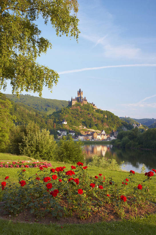 无人,竖图,室外,白天,正面,爱情,旅游,度假,幸福,纯洁,热情,草地,草坪,日出,花海,花圃,河流,美景,山,山脉,水,太阳,植物,标志建筑,地标,建筑,玫瑰,叶子,德国,欧洲,阴影,盛开,光线,影子,堡垒,城堡,河水,景观,山峰,水流,玫瑰花,朝霞,晨曦,黎明,山峦,浪漫,花蕾,娱乐,建设,草,花,花瓣,花朵,花卉,鲜花,树,树木,绿色,倒影,阳光,自然,花丛,花束,花田,群山,花苞,花蕊,享受,休闲,温暖,温馨,旅游胜地,景色,恩爱,放松,生长,成长,和睦,倒映,西欧,要塞,自然风光,感动,德意志联邦共和国,尊敬,反照,莱茵兰.普法尔茨州,设防,天真,刺玫花,徘徊花,朝阳,彩图,破晓,融洽