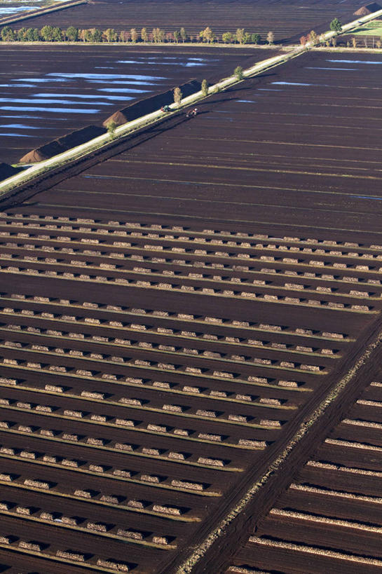 无人,竖图,俯视,航拍,室外,白天,旅游,度假,草地,草原,美景,树林,植物,道路,路,德国,欧洲,一排,阴影,整齐,并列,并排,光线,影子,景观,旷野,小路,交通,娱乐,草,树,树木,排列,绿色,阳光,自然,享受,休闲,景色,放松,生长,成长,西欧,鸟瞰,队列,自然风光,原野,平行,德意志联邦共和国,下萨克森州,下萨克森,泥炭,彩图,高角度拍摄