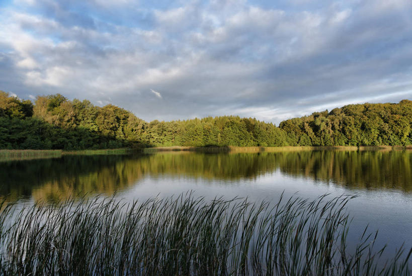 无人,横图,室外,白天,正面,旅游,度假,湖,湖泊,美景,树林,水,植物,芦苇,德国,欧洲,阴影,波纹,光线,影子,湖面,景观,水流,水面,云,云朵,涟漪,云彩,娱乐,树,树木,蓝色,绿色,白云,倒影,蓝天,水纹,天空,阳光,自然,波浪,湖水,天,享受,休闲,景色,放松,生长,晴朗,成长,倒映,西欧,自然风光,德意志联邦共和国,水晕,芦芛,反照,梅克伦堡.前波美拉尼亚州,芦,芦花,苇,梅克伦堡.前波美拉尼亚,晴空,彩图