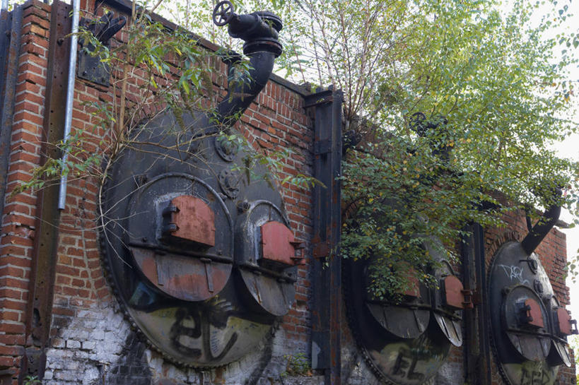 无人,横图,室外,白天,仰视,机器,植物,叶子,德国,欧洲,阴影,光线,影子,墙,绿叶,墙壁,墙面,树,树木,蓝色,绿色,蓝天,天空,阳光,自然,天,嫩叶,生长,成长,西欧,自然风光,德意志联邦共和国,北威州,矿场,北莱茵.威斯特法伦州,鲁尔,鲁尔工业区,鲁尔区,叶,叶片,彩图,低角度拍摄