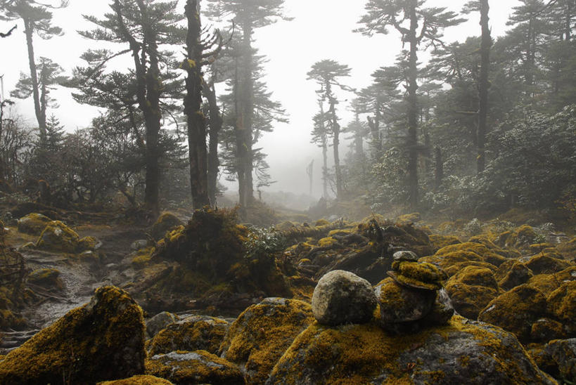 无人,横图,室外,白天,正面,旅游,度假,草地,草坪,石头,美景,植物,印度,亚洲,阴影,光线,石子,影子,景观,云,云朵,云彩,娱乐,草,树,树木,绿色,白云,天空,阳光,自然,天,享受,休闲,景色,放松,生长,成长,自然风光,南亚,印度共和国,锡金,锡金邦,石块,彩图