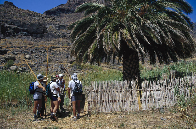 手,伙伴,朋友,栏杆,站,说,横图,室外,白天,旅游,度假,讨论,友谊,草地,草坪,石头,山,山脉,植物,道路,路,帽子,西班牙,欧洲,握,阴影,光线,包,石子,影子,栅栏,篱笆,山峰,围栏,小路,交通,山峦,许多人,拿,旅行包,拿着,注视,娱乐,护栏,竹竿,草,树,树木,背面,蓝色,绿色,蓝天,天空,阳光,自然,背包,遮阳帽,群山,天,观察,看,站着,一群人,享受,休闲,手部,放松,握着,乡间小路,生长,晴朗,成长,观看,察看,加纳利群岛,关注,南欧,加那利群岛,万里无云,西班牙王国,旅游包,大加纳利岛,交流,友情,男人,男性,年轻男性,石块,岩石,晴空,晴空万里,沟通,讲话,交谈,商讨,说话,谈话,站立,彩图,全身,双肩包
