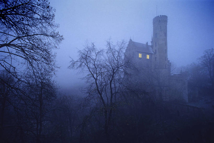 无人,横图,室外,白天,仰视,旅游,度假,神秘,树林,植物,雾,标志建筑,地标,建筑,照明,德国,欧洲,朦胧,模糊,灯光,娱乐,建设,吊灯,灯,树,树木,绿色,自然,灯具,享受,休闲,旅游胜地,放松,生长,成长,照亮,迷雾,阴沉,照明设备,西欧,秘密,阴森,德意志联邦共和国,奥秘,巴登.符腾堡,巴登.符腾堡州,巴符州,大雾,彩图,低角度拍摄