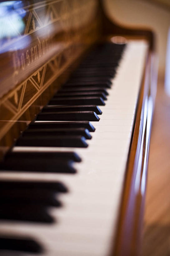 无人,商店,竖图,室内,特写,白天,正面,键盘,德国,欧洲,一排,许多,花纹,朦胧,模糊,整齐,钢琴,乐器,琴键,商铺,排列,白色,黑色,键盘乐器,西欧,队列,斑纹,德意志联邦共和国,巴伐利亚,巴伐利亚州,拜恩州,拜恩自由州,市肆,商号,彩图,店铺