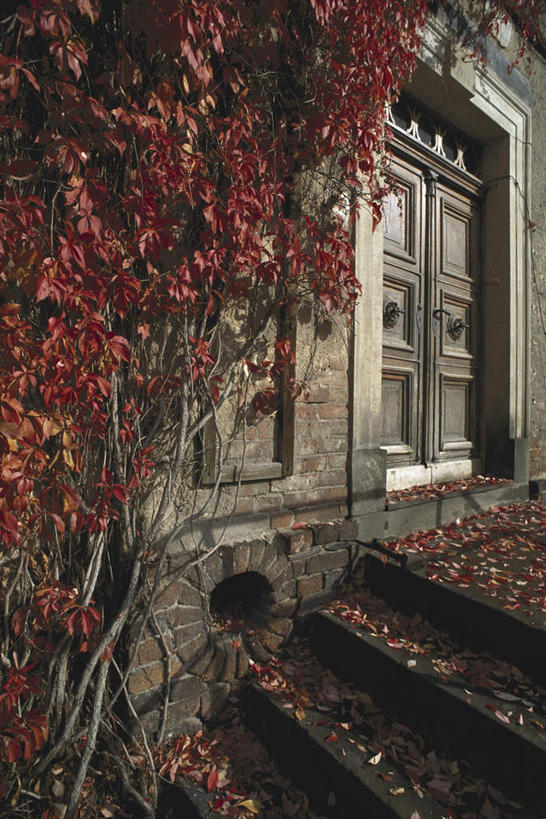 无人,家,栏杆,竖图,室外,白天,正面,旅游,度假,名胜古迹,秋季,植物,楼梯,门,标志建筑,地标,建筑,叶子,德国,欧洲,遗迹,扶手,房屋,阶梯,墙,屋子,古城,常春藤,爬山虎,枯叶,落叶,草药,古迹,文物,娱乐,建设,古建筑,护栏,楼房,中药,墙壁,墙面,台阶,住宅,门框,享受,休闲,旅游胜地,放松,西欧,药材,中草药,爬墙虎,古文明,中药材,本草,德意志联邦共和国,地锦,趴山虎,巴山虎,五叶地锦,五叶爬山虎,叶,叶片,秋,秋天,彩图,房子,常青藤