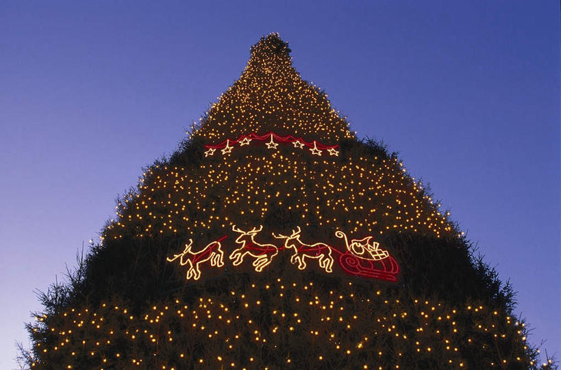 无人,横图,室外,白天,仰视,日落,植物,照明,德国,欧洲,圣诞节,阴影,节日,庆祝,装饰,光线,彩灯,影子,晚霞,霞光,云,云朵,落日,灯光,圣诞树,云彩,文化,灯,树,树木,蓝色,绿色,白云,蓝天,天空,阳光,自然,黄昏,灯具,天,庆典,彩霞,花灯,生长,成长,纪念,华丽,修饰,照亮,点缀,照明设备,西欧,自然风光,德意志联邦共和国,衬托,美观,雅致,雅观,夕照,多特蒙德,夕阳,彩图,低角度拍摄,斜阳