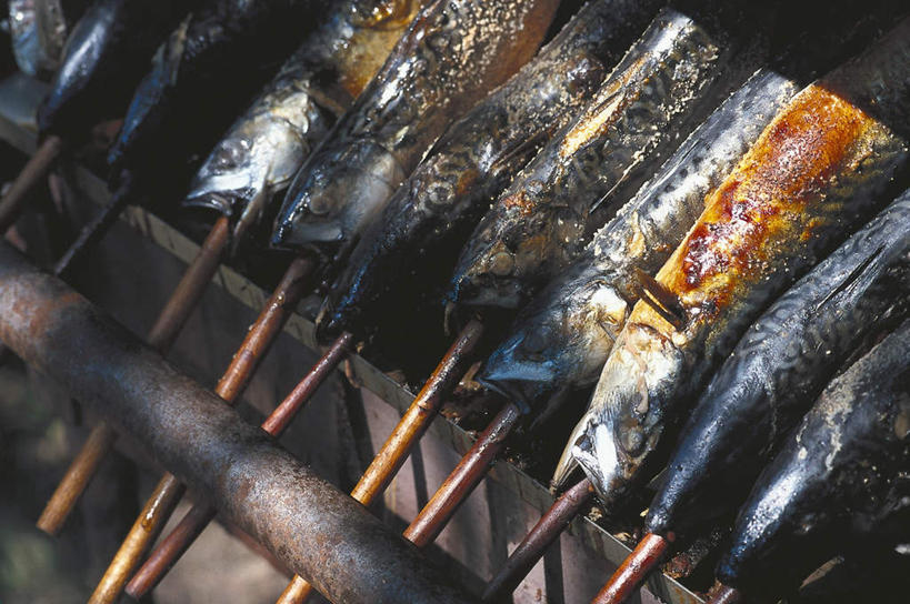 海鲜,无人,横图,俯视,室外,白天,烧烤,德国,欧洲,许多,阴影,光线,密集,鱼,影子,烤架,烤肉,水产,鱼类,海洋生物,阳光,铁架,西欧,水生动物,海产品,水生物,海底动物,德意志联邦共和国,巴伐利亚,巴伐利亚州,拜恩州,拜恩自由州,鳞集,辘集,麋集,彩图,高角度拍摄
