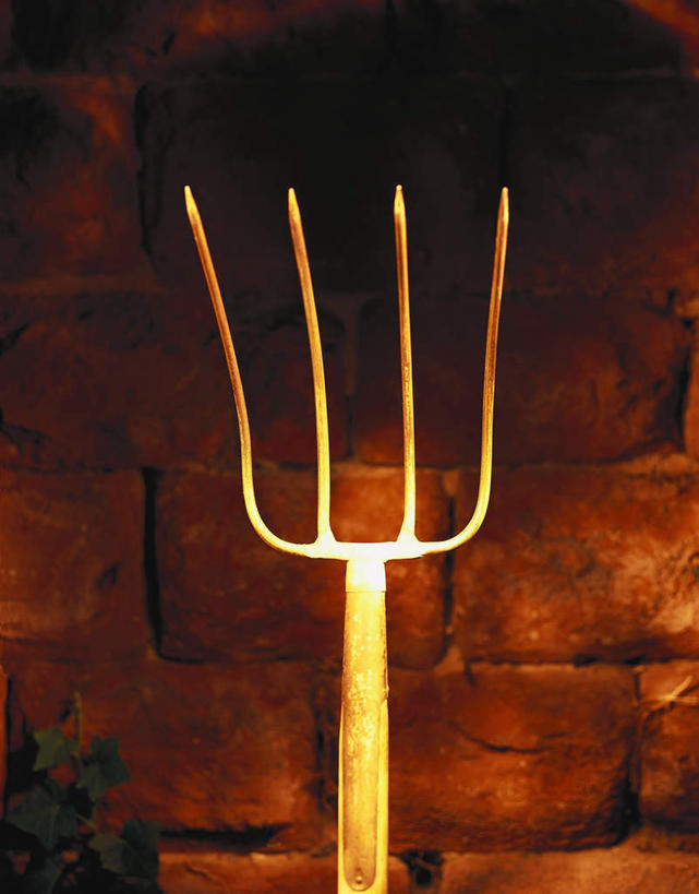 无人,家,竖图,室内,特写,白天,正面,金属制品,一把,阴影,锐利,反光,光线,金属,叉子,影子,房屋,屋子,灯光,楼房,住宅,锋利,彩图,房子