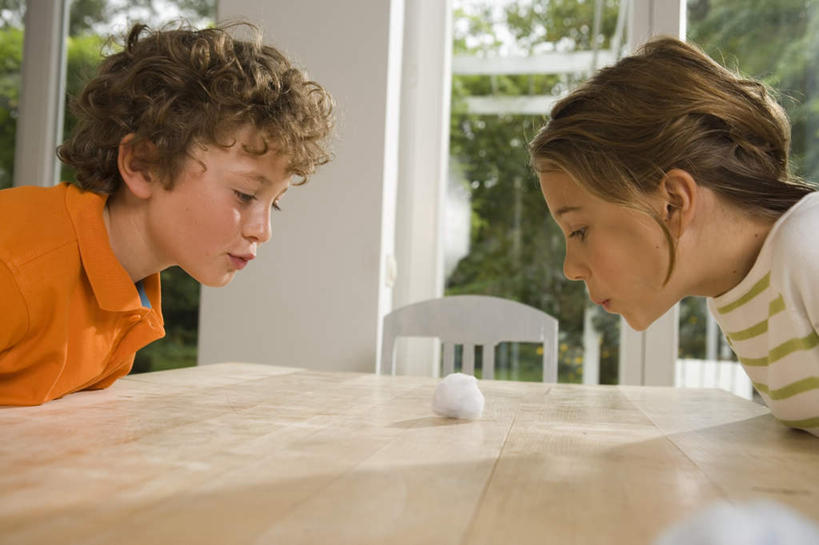 西方人,儿童,两个人,坐,横图,室内,特写,白天,侧面,T恤衫,游戏,纯洁,农作物,窗户,桌面,叶子,椅子,欧洲,欧洲人,一团,阴影,服装,柔软,光线,影子,棉花,绿叶,玩,T恤,注视,休闲装,娱乐,玻璃窗,纺织,小孩,衣服,白色,灰色,阳光,自然,吹,观察,看,休闲,健康,温暖,休闲服,嫩叶,可爱,童年,童趣,服饰,观看,活动,纤维,察看,发泄,关注,消遣,智力,自然风光,童真,烂漫,无邪,宣泄,柔和,暖和,天真,男孩,男人,男性,女孩,女人,女性,白种人,叶,叶片,玩耍,嬉戏,坐着,半身,彩图,男生,女生