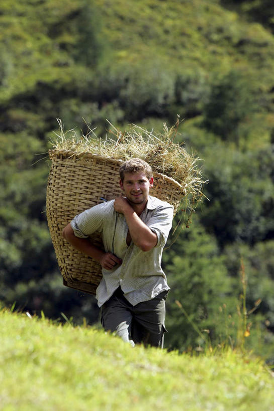 西方人,背,一个人,攀登,竖图,室外,白天,正面,锻炼,旅游,度假,探险,运动,攀岩,草地,草坪,美景,植物,奥地利,欧洲,欧洲人,仅一个男性,仅一个人,阴影,光线,箩筐,影子,景观,娱乐,极限运动,草,树,树木,仅一个年轻男性,绿色,阳光,自然,背着,享受,休闲,爬,景色,放松,生长,成长,自然风光,室外运动,户外运动,中欧,奥地利共和国,背负,冒险,体育,男人,男性,年轻男性,白种人,登山,攀爬,半身,彩图,健身