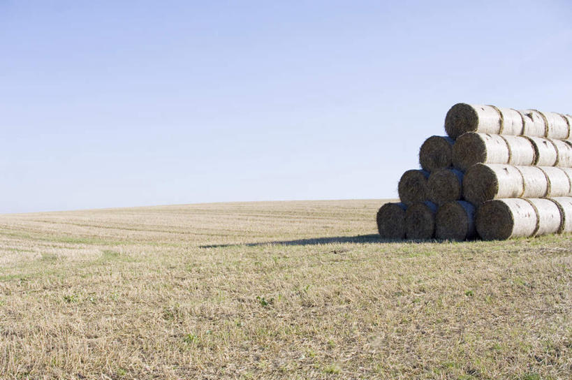 无人,农田,横图,室外,白天,正面,旅游,度假,农业,庄稼,农作物,美景,秋季,城市,德国,欧洲,一排,许多,阴影,丰收,整齐,光线,影子,稻田,景观,稻草,干草,很多,娱乐,排列,蓝色,蓝天,天空,阳光,自然,天,享受,休闲,景色,放松,收获,晴朗,堆,西欧,队列,自然风光,万里无云,德意志联邦共和国,图林根,魏玛,晴空,晴空万里,秋,秋天,彩图,耕地,庄稼田,图林根州