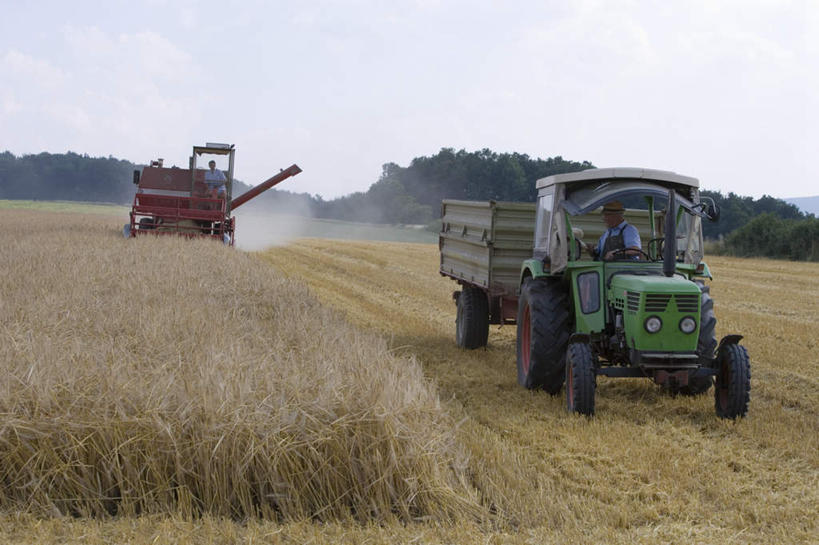 西方人,无人,两个人,家庭,父亲,儿子,坐,横图,室外,白天,正面,旅游,度假,纯洁,美景,森林,树林,植物,卡车,德国,欧洲,欧洲人,阴影,枯萎,光线,影子,景观,云,云朵,枯草,集装箱,云彩,娱乐,草,树,树木,黄色,蓝色,绿色,白云,蓝天,天空,阳光,自然,天,驾驶,行驶,享受,休闲,温暖,温馨,父子,一家人,景色,放松,父爱,可爱,童年,童趣,集装箱车,生长,成长,货车,操纵,和睦,控制,西欧,自然风光,货运车,童真,推土车,操控,烂漫,无邪,德意志联邦共和国,把持,黑森州,天真,年轻男性,白种人,载重汽车,坐着,彩图,融洽