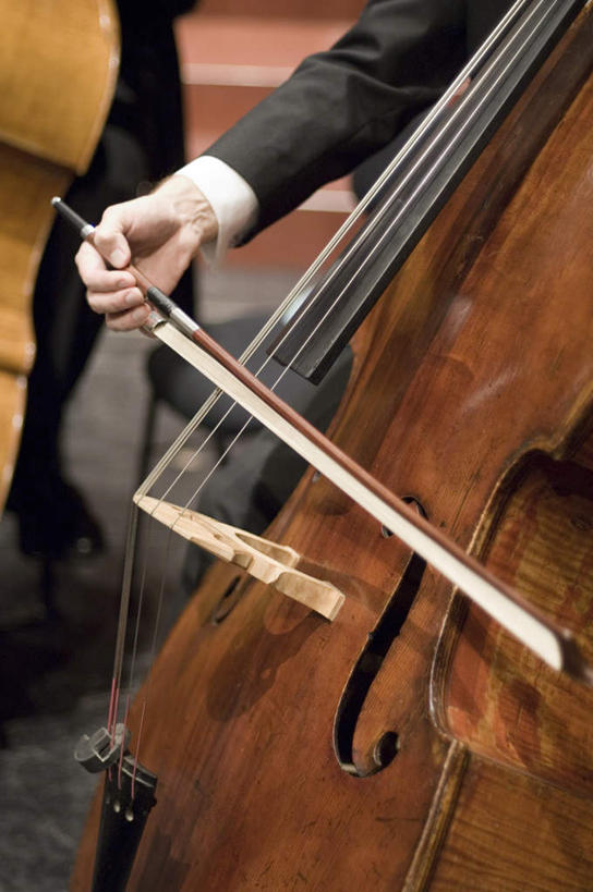 西方人,手,一个人,坐,竖图,室内,白天,正面,衬衫,制服,西装,剧院,欧洲,欧洲人,仅一个男性,仅一个人,表演,握,套装,正装,庆祝,乐器,领带,弦乐器,拿,拿着,注视,职业装,扮演,仅一个年轻男性,观察,看,手部,握着,观看,庆贺,察看,演出,关注,祝贺,弓拉弦乐器,弓拉弦鸣乐器,低音提琴,倍大提琴,擦奏弦鸣乐器,男人,男性,年轻男性,白种人,坐着,半身,彩图,衬衣,礼服,剧场,戏院