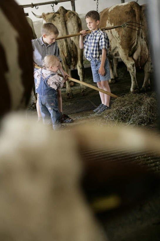 西方人,儿童,三个人,站,竖图,室内,白天,侧面,纯洁,牛,德国,欧洲,欧洲人,阴影,光线,叉子,影子,拿,拿着,小孩,阳光,动物,站着,家畜,可爱,童年,童趣,四头,牲畜,西欧,童真,烂漫,无邪,德意志联邦共和国,牛棚,巴伐利亚,巴伐利亚州,拜恩州,拜恩自由州,天真,男孩,男人,男性,白种人,站立,彩图,全身,男生