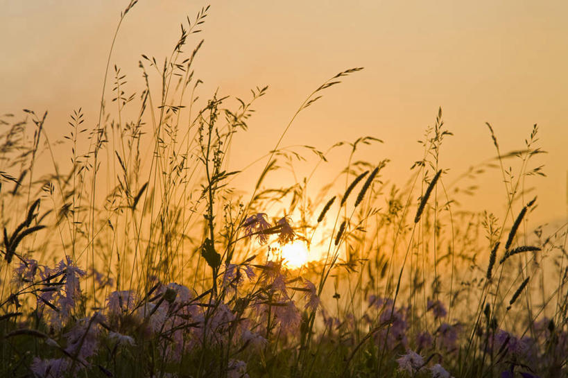 无人,横图,室外,白天,正面,旅游,度假,农作物,日出,美景,山,山脉,太阳,阴影,光线,影子,景观,山峰,谷物,朝霞,晨曦,黎明,山峦,清晨,麦田,娱乐,阳光,自然,群山,享受,休闲,稻谷,稻子,景色,放松,自然风光,朝阳,彩图,破晓