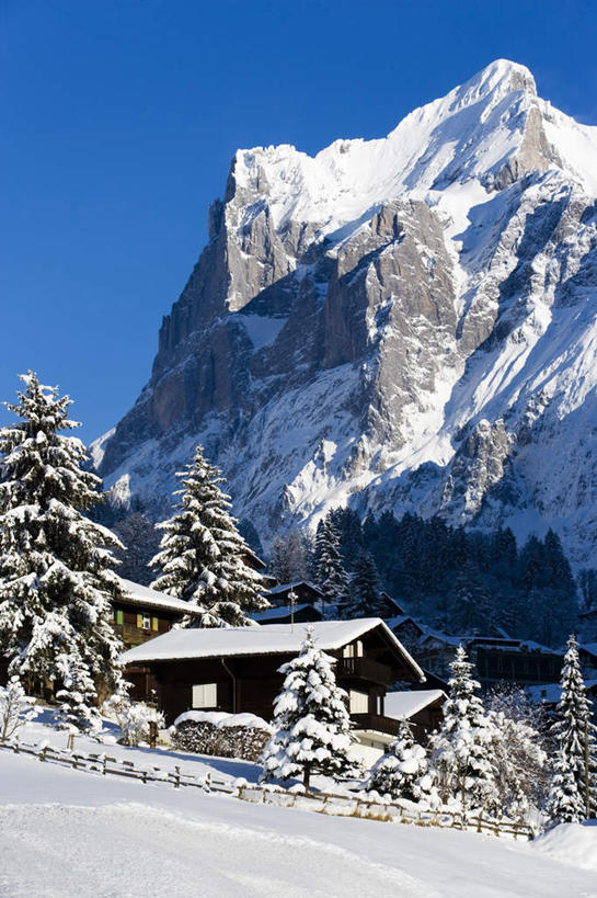 无人,竖图,室外,白天,正面,旅游,度假,石头,美景,山,雪,雪山,植物,大雪,阴影,光线,石子,影子,房屋,屋子,冰,积雪,景观,山峰,雪景,冬季,冬天,山峦,文化,娱乐,树,树木,蓝色,绿色,蓝天,天空,阳光,自然,天,享受,休闲,景色,放松,寒冷,生长,成长,冰冷,自然风光,严寒,冰凉,酷寒,凛冽,凛凛,极冷,雪屋,石块,岩石,彩图,房子,小屋