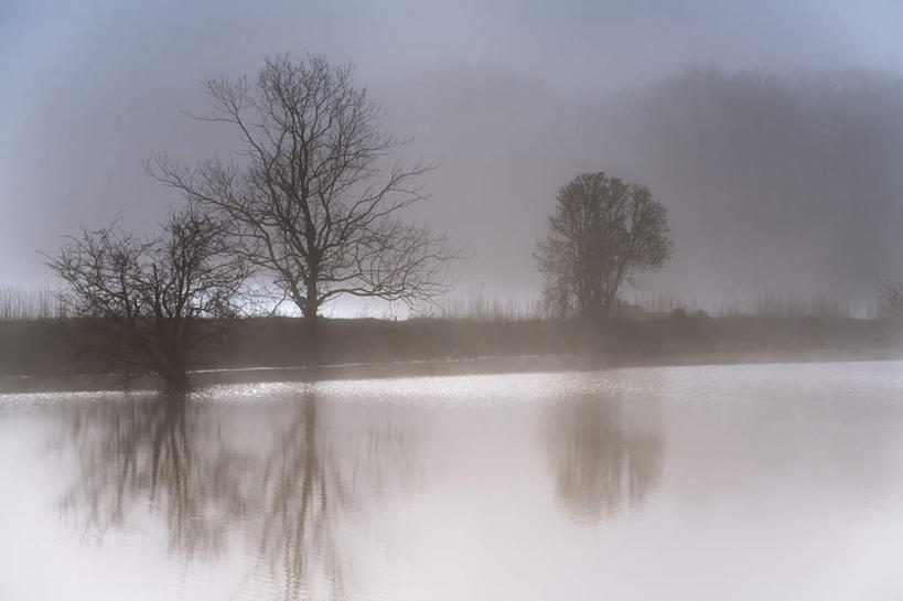 无人,码头,横图,室外,白天,正面,旅游,度假,湖,湖泊,美景,水,植物,雾,港口,德国,欧洲,波纹,朦胧,模糊,湖面,景观,水流,水面,拂晓,黎明,涟漪,娱乐,树,树木,绿色,倒影,水纹,自然,波浪,湖水,享受,休闲,景色,放松,生长,成长,迷雾,倒映,西欧,自然风光,德意志联邦共和国,水晕,石荷州,石勒苏益格.荷尔斯泰因,石勒苏益格.荷尔斯泰因州,反照,大雾,彩图,摆渡口,埠头,渡口,渡头,港湾,海港,货运码头,口岸,商港