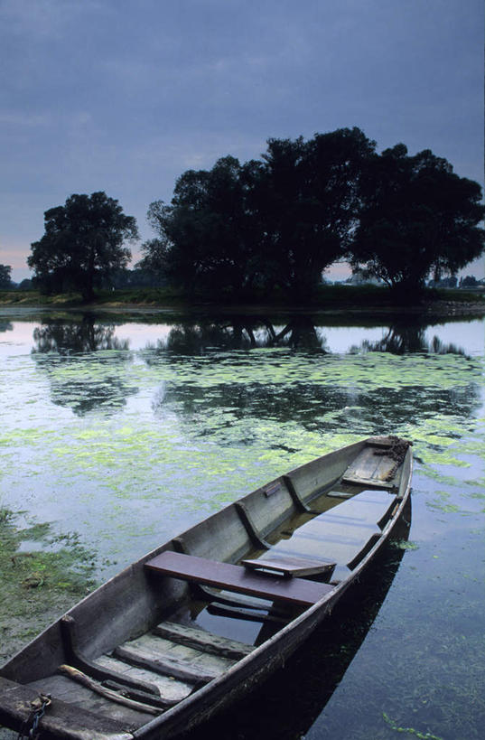 无人,竖图,室外,白天,正面,旅游,度假,草地,草坪,河流,水,植物,船,阴影,光线,影子,河水,水流,木船,河边,娱乐,草,树,树木,蓝色,绿色,倒影,蓝天,天空,阳光,自然,交通工具,天,享受,休闲,放松,生长,成长,河畔,倒映,舟,载具,反照,彩图