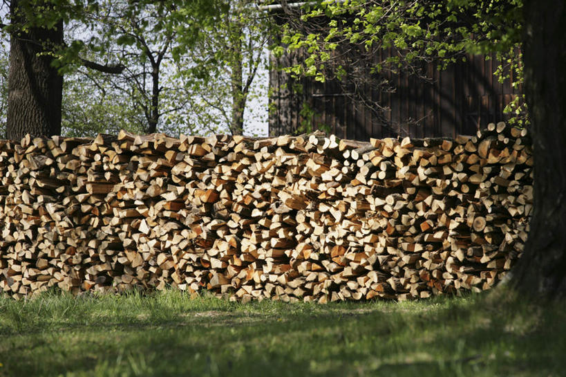 无人,横图,室外,白天,正面,旅游,度假,草地,草坪,美景,植物,奥地利,欧洲,一堆,许多,阴影,堆叠,堆积,光线,木材,影子,景观,娱乐,木柴,草,树,树木,绿色,阳光,自然,享受,休闲,景色,放松,木料,生长,成长,堆,自然风光,中欧,奥地利共和国,柴禾,彩图