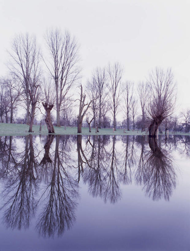 无人,竖图,室外,白天,正面,旅游,度假,草地,草坪,河流,美景,水,植物,柳树,德国,欧洲,阴影,波纹,光线,影子,河水,景观,水流,枝条,涟漪,娱乐,垂柳,草,树,树木,树枝,绿色,倒影,水纹,阳光,自然,波浪,享受,休闲,景色,放松,生长,成长,倒映,西欧,自然风光,德意志联邦共和国,水晕,倒挂柳,反照,北威州,虬枝,枝杈,北莱茵.威斯特法伦州,垂枝柳,彩图