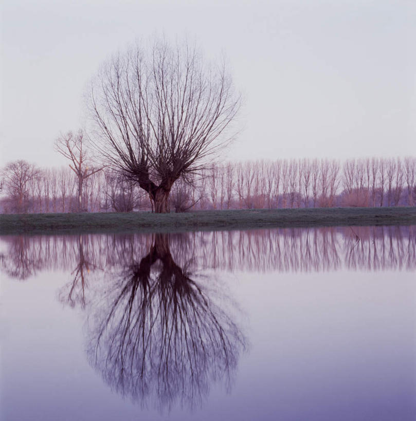 无人,竖图,室外,白天,正面,旅游,度假,草地,草坪,河流,美景,日落,水,植物,柳树,德国,欧洲,波纹,河水,景观,水流,晚霞,霞光,落日,树桩,枝条,涟漪,娱乐,垂柳,草,树,树干,树木,树枝,绿色,倒影,水纹,自然,黄昏,波浪,享受,休闲,木桩,景色,彩霞,放松,生长,成长,倒映,西欧,自然风光,德意志联邦共和国,水晕,倒挂柳,夕照,反照,北威州,虬枝,枝杈,北莱茵.威斯特法伦州,夕阳,垂枝柳,彩图,斜阳