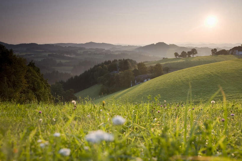 无人,横图,室外,白天,正面,旅游,度假,草地,草坪,日出,石头,美景,森林,山,山脉,树林,太阳,植物,奥地利,欧洲,盛开,石子,景观,山峰,朝霞,晨曦,黎明,山峦,花蕾,娱乐,草,花,花瓣,花朵,鲜花,树,树木,绿色,阳光,自然,群山,花苞,花蕊,享受,休闲,景色,放松,生长,成长,自然风光,中欧,奥地利共和国,上奥地利,上奥地利州,石块,岩石,朝阳,彩图,破晓
