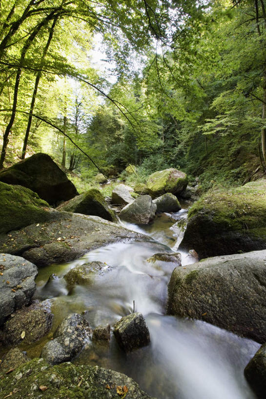 无人,竖图,室外,白天,正面,旅游,度假,河流,石头,美景,森林,树林,水,植物,叶子,奥地利,欧洲,阴影,波纹,光线,石子,影子,河水,景观,水流,枯叶,落叶,涟漪,娱乐,树,树木,绿色,倒影,水纹,小溪,阳光,自然,波浪,溪水,享受,休闲,景色,放松,生长,成长,倒映,自然风光,中欧,水晕,奥地利共和国,反照,上奥地利,上奥地利州,叶,叶片,石块,岩石,彩图