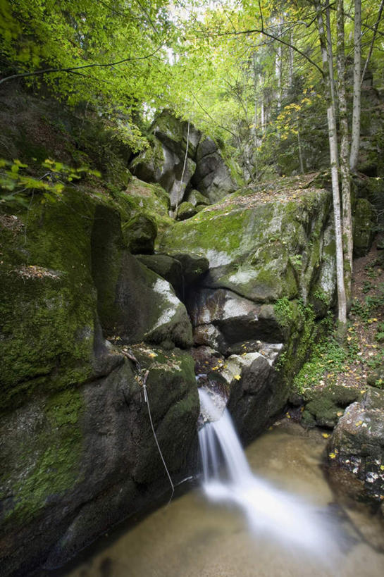 无人,竖图,俯视,室外,白天,度假,河流,石头,美景,瀑布,树林,水,植物,城市风光,城市,奥地利,欧洲,波纹,飞溅,溅,石子,液体,河水,景观,水滴,水流,青苔,苔藓,涟漪,娱乐,水珠,树,树木,绿色,水纹,小溪,自然,波浪,溪水,享受,休闲,景色,放松,生长,成长,喷洒,中欧,水晕,奥地利共和国,上奥地利,上奥地利州,跌水,石块,岩石,彩图,高角度拍摄