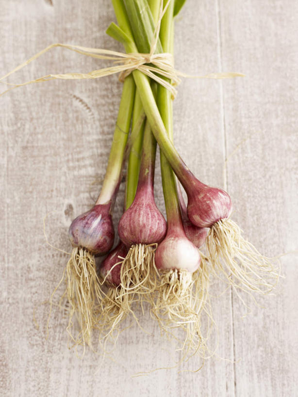 无人,竖图,俯视,室内,特写,白天,餐桌,桌子,蔬菜,蒜,一堆,许多,阴影,堆叠,堆积,朦胧,模糊,新鲜,光线,影子,食品,蒜头,食物,绳子,有机食品,绿色食品,餐台,堆,捆绑,绳索,绑缚,胡蒜,大蒜,彩图,高角度拍摄