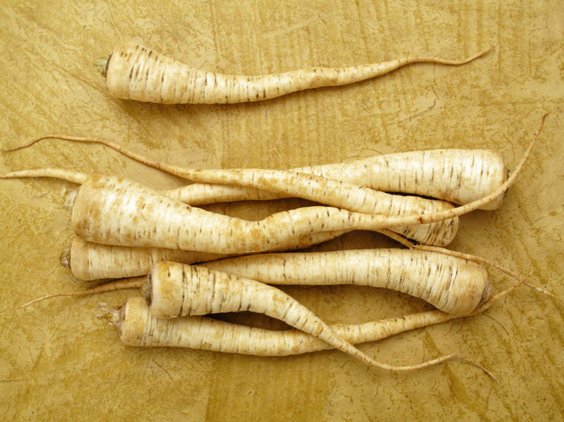 无人,横图,俯视,室内,特写,白天,植物,餐桌,桌子,一堆,许多,阴影,堆叠,堆积,反射,木制,影子,草药,药草,很多,中药,木制品,餐台,堆,药材,中草药,中药材,本草,防风草,四方茎,土防风,彩图,高角度拍摄