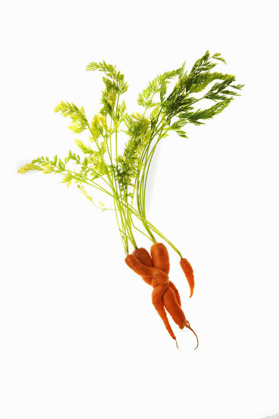 无人,竖图,俯视,室内,特写,白天,白色背景,桌面,桌子,萝卜,胡萝卜,蔬菜,新鲜,食品,食物,橙色,摄影,有机食品,绿色食品,影棚,黄萝卜,番萝卜,萝卜缨,红萝卜,甘荀,彩图,高角度拍摄,影棚拍摄,拍摄,莱菔叶,萝卜叶,丁香萝卜,胡芦菔金,金笋