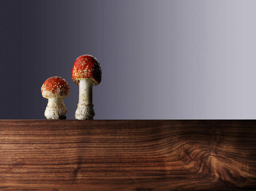 无人,横图,室内,特写,白天,正面,餐桌,桌子,蔬菜,阴影,灰色背景,新鲜,反射,木制,影子,菌菇,食品,案板,菌类,砧板,食物,两个,木制品,摄影,有机食品,绿色食品,影棚,餐台,有毒,真菌,毒蝇伞,毒蝇鹅膏菌,毒蘑菇,捕蝇菌,毒蝇菌,彩图,影棚拍摄,拍摄,蟆菌