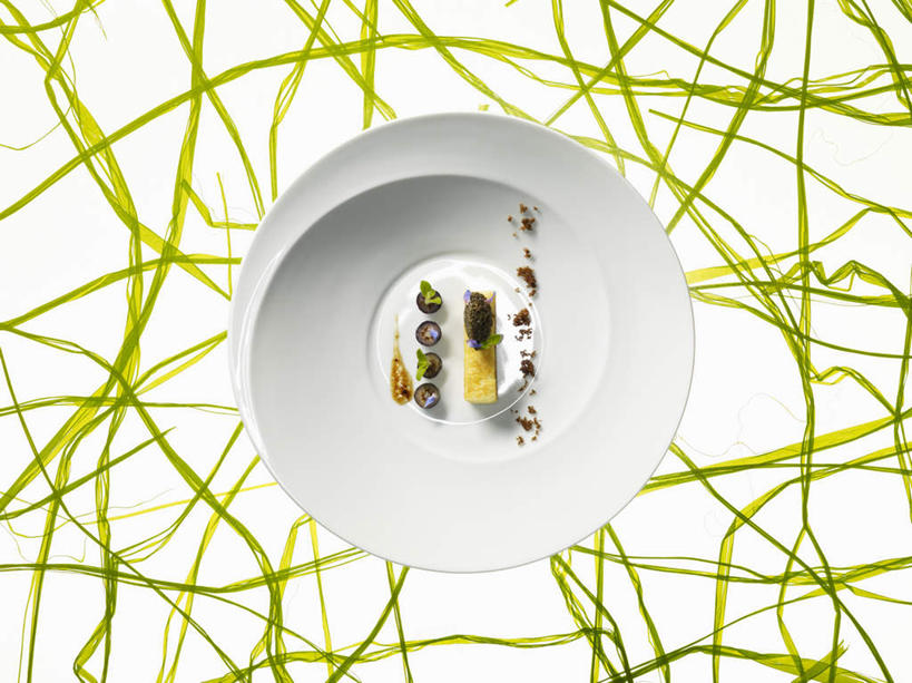 点心,面包,无人,交叉,横图,俯视,室内,特写,白天,白色背景,植物,阴影,反射,纹路,纹理,影子,陶瓷,调料,酱料,酱汁,香料,佐料,食品,面点,草药,陶瓷制品,调味品,凌乱,罗勒酱,调味料,吐司,酱,中药,食物,糕点,一个,容器,碗,香草,摄影,影棚,单个,储藏,法式面包,罗勒,混乱,储存,紫苏,药材,中草药,吐司面包,九层塔,圣约瑟夫草,甜罗勒,兰香,中药材,本草,肌理,相交,交集,纷乱,缭乱,庞杂,彩图,高角度拍摄,影棚拍摄,拍摄,多士,听型面包,贮存