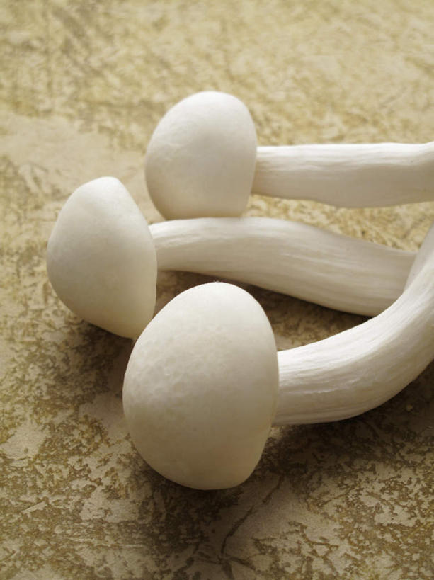 无人,竖图,俯视,室内,特写,白天,桌面,桌子,蔬菜,阴影,新鲜,反射,木制,影子,木桌,菌菇,蘑菇,食品,菌类,食物,三个,白色,木制品,食用菌,摄影,有机食品,绿色食品,影棚,真菌,白蘑菇,洋蘑菇,草腐菌,二孢蘑菇,双孢蘑菇,彩图,高角度拍摄,影棚拍摄,拍摄,木桌子