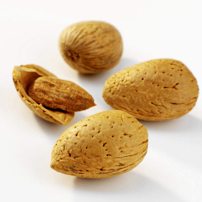 无人,方图,俯视,室内,特写,白天,白色背景,杏仁,阴影,光线,壳,影子,坚果,果实,干果,四个,摄影,影棚,杏子,杏梅仁,杏核仁,木落子,苦杏仁,彩图,高角度拍摄,影棚拍摄,拍摄