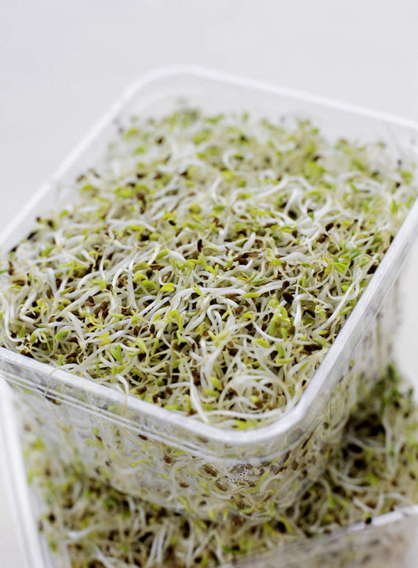 无人,竖图,俯视,室内,白天,爱情,自由,幸福,蔬菜,静物,阴影,堆叠,新鲜,光线,影子,塑料,食品,三叶草,盒子,食物,容器,塑料制品,有机食品,绿色食品,希望,储藏,储存,芽苗,和平,车轴草,苜蓿,统一,团结,彩图,高角度拍摄,贮存