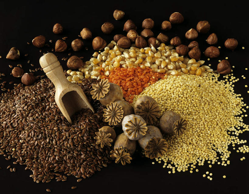 无人,横图,俯视,室内,特写,白天,玉米,植物,桌面,桌子,罂粟,阴影,朦胧,模糊,光线,木制,棒子,影子,玉蜀黍,谷物,草药,亚麻,中药,木制品,粟米,苞米,罂粟籽,毒品,苞芦,小米,药材,中草药,苞谷,亚麻籽,中药材,本草,谷子,止痛,镇静,安眠,胡麻,包谷,大蜀黍,番麦,薏米包,玉高粱,玉麦,珍珠米,粟,粢米,纤维作物,油料作物,罂粟花,彩图,高角度拍摄