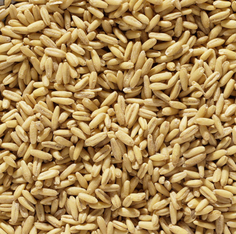 无人,横图,俯视,室内,特写,白天,一堆,许多,阴影,堆叠,堆积,光线,影子,燕麦,很多,黄色,堆,玉麦,铃铛麦,裸燕麦,雀麦,野麦,莜麦,彩图,高角度拍摄