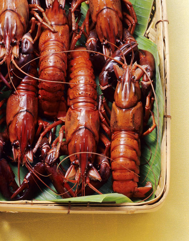 海鲜,龙虾,无人,交叉,竖图,俯视,室内,特写,白天,餐桌,桌子,竹子,叶子,一排,许多,阴影,竹制,整齐,编织,光线,篮子,影子,虾,绿叶,很多,芭蕉叶,水产,海洋生物,排列,红色,竹篮,嫩叶,餐台,竹条,交织,竹制品,队列,水生动物,海产品,水生物,海底动物,穿插,叶,叶片,彩图,高角度拍摄,全身