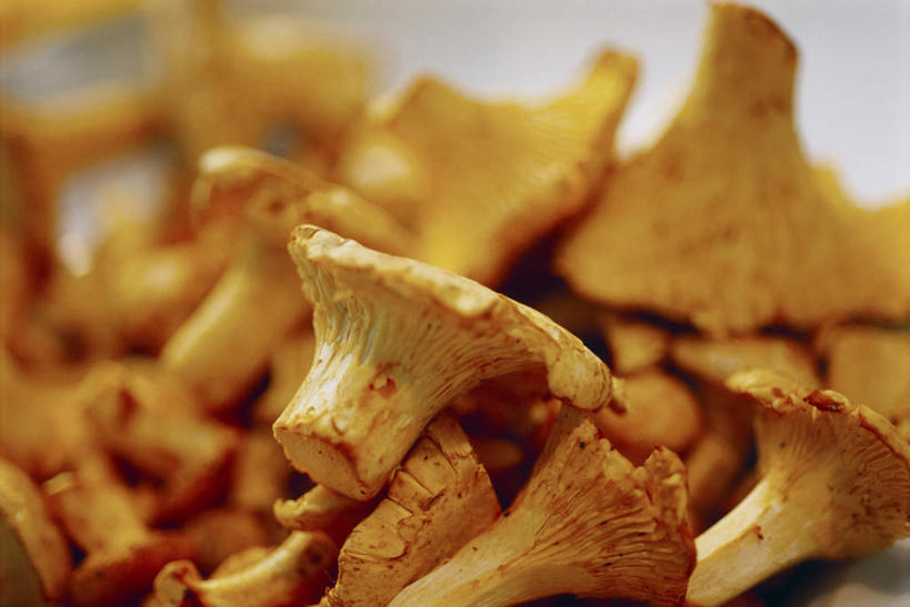 无人,横图,俯视,室内,特写,白天,餐桌,桌子,一堆,许多,阴影,堆叠,堆积,朦胧,模糊,光线,影子,菌菇,很多,菌类,黄色,食用菌,餐台,堆,鸡油菌,杏黄菌,杏菌,沉积,彩图,高角度拍摄