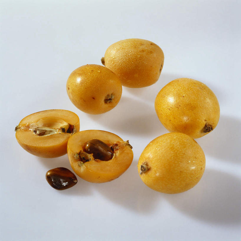 无人,竖图,俯视,室内,特写,白天,白色背景,植物,桌面,桌子,阴影,反射,木制,影子,果实,草药,药草,中药,黄色,木制品,摄影,影棚,枸杞子,枸杞,药材,中草药,中药材,本草,苟起子,枸杞豆,枸杞果,血杞子,彩图,高角度拍摄,影棚拍摄,拍摄