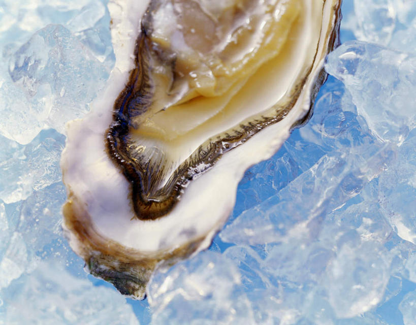 海鲜,无人,横图,俯视,室内,特写,白天,阴影,光线,影子,冰,冰块,牡蛎,冷冻,水产,海洋生物,一个,寒冷,冷藏,单个,生蚝,冰冷,水生动物,海产品,水生物,海底动物,保鲜,彩图,高角度拍摄