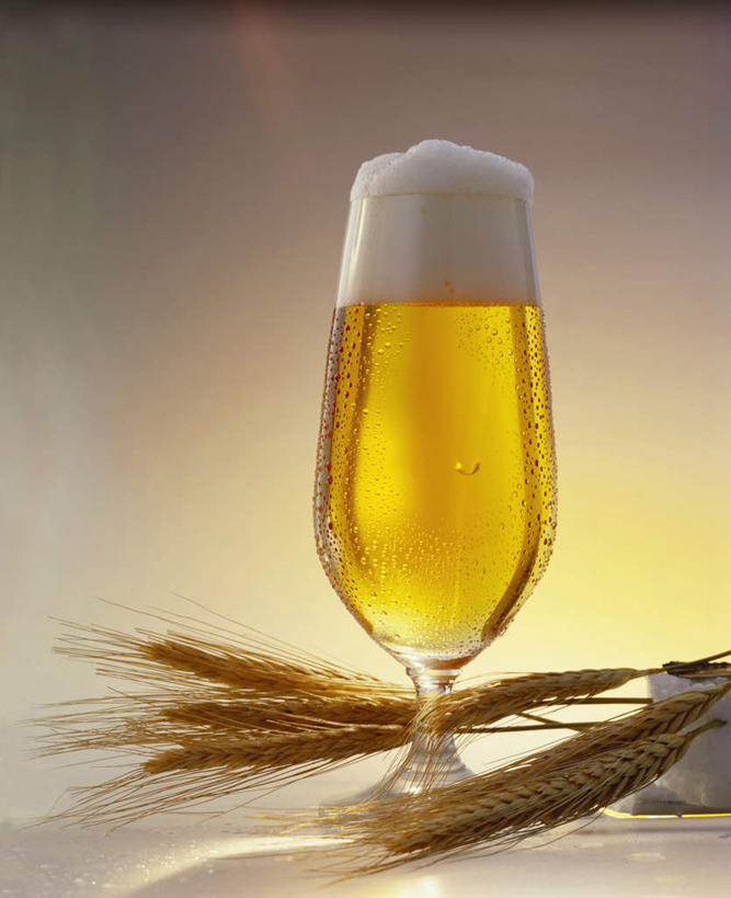 啤酒,无人,竖图,室内,白天,正面,农作物,小麦,杯子,阴影,灰色背景,光线,泡沫,影子,谷物,酒类,一杯,玻璃制品,酒,饮料,一个,酒杯,啤酒杯,摄影,麦子,影棚,单个,玻璃杯,彩图,影棚拍摄,拍摄