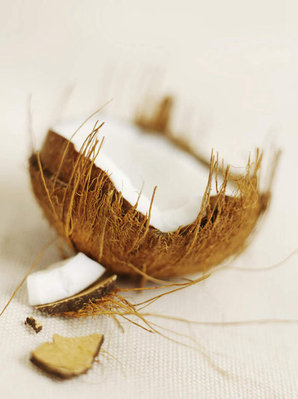 无人,竖图,俯视,室内,特写,白天,白色背景,椰子,水果,阴影,朦胧,模糊,新鲜,光线,影子,生食,食品,果实,果壳,食物,一个,白色,果肉,摄影,有机食品,绿色食品,影棚,单个,大椰,胥余,椰瓢,越王头,彩图,高角度拍摄,影棚拍摄,拍摄