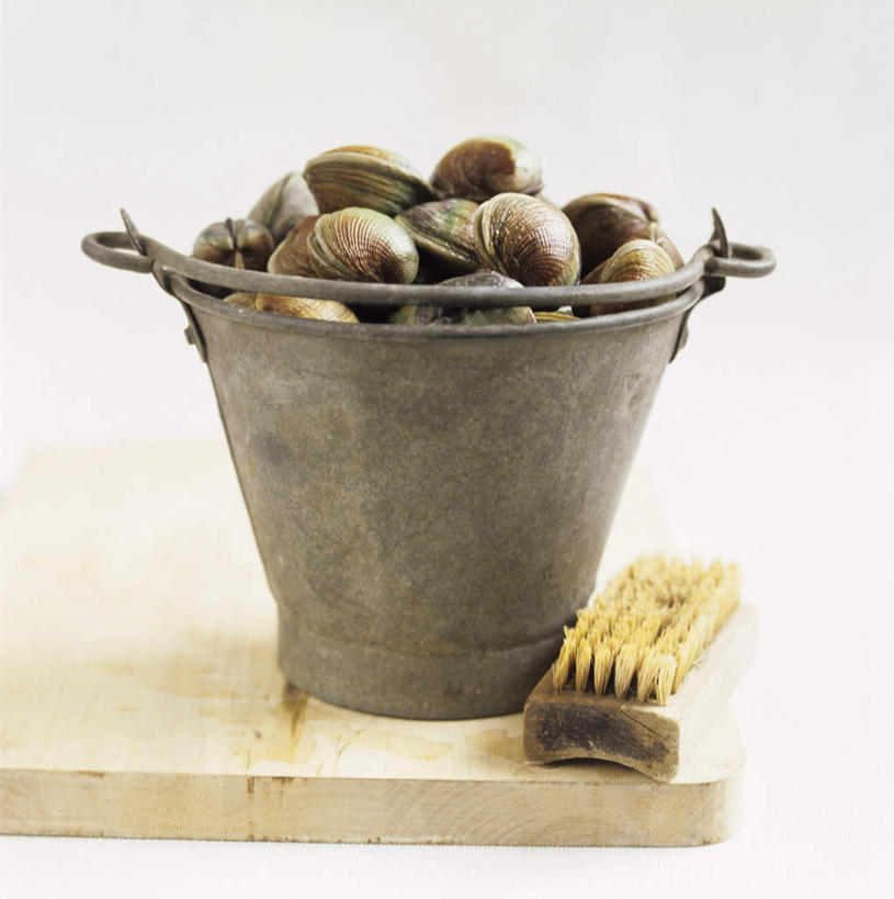 无人,竖图,俯视,室内,特写,白天,白色背景,餐桌,桌子,贝壳,一堆,一块,许多,阴影,堆叠,堆积,朦胧,模糊,光线,工具,铁桶,桶,影子,案板,很多,砧板,一个,容器,刷子,摄影,影棚,河蚌,单个,餐台,储藏,堆,储存,蚌,水蚌,贝类外壳,软体动物外壳,彩图,高角度拍摄,影棚拍摄,拍摄,贮存