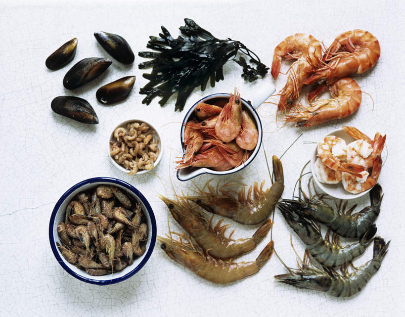 无人,横图,俯视,室内,特写,白天,白色背景,餐桌,桌子,贝壳,一堆,许多,阴影,堆叠,堆积,光线,影子,陶瓷,虾,陶瓷制品,很多,大虾,三个,容器,碗,摄影,影棚,对虾,河蚌,餐台,储藏,堆,储存,蚌,斑节虾,水蚌,东方对虾,中国对虾,贝类外壳,软体动物外壳,彩图,高角度拍摄,影棚拍摄,拍摄,贮存