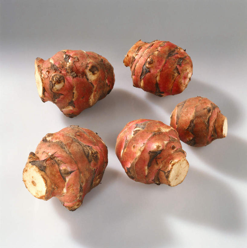 无人,竖图,俯视,室内,特写,白天,白色背景,餐桌,桌子,蔬菜,五个,一排,许多,阴影,新鲜,整齐,光线,影子,食品,食物,排列,摄影,有机食品,绿色食品,影棚,餐台,队列,菊芋,洋姜,鬼子姜,彩图,高角度拍摄,影棚拍摄,拍摄