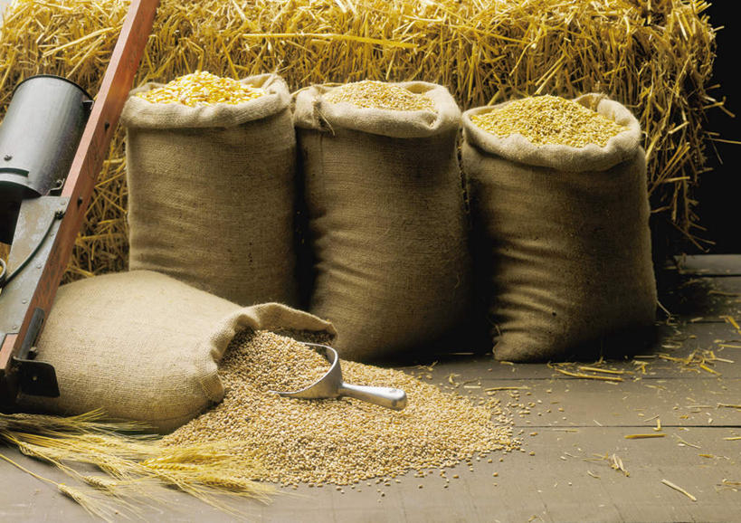 无人,横图,室外,特写,白天,正面,农作物,小麦,玉米,蔬菜,袋子,一堆,许多,阴影,堆积,丰富,丰收,朦胧,模糊,新鲜,光线,棒子,影子,玉蜀黍,谷物,食品,丰盛,麻袋,食物,一个,黄色,容器,麦子,有机食品,绿色食品,单个,储藏,堆,苞米,储存,苞芦,除草机,苞谷,包谷,大蜀黍,番麦,薏米包,玉高粱,玉麦,珍珠米,丰登,丰硕,彩图,贮存